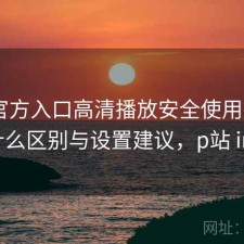 P站官方入口高清播放安全使用指南：有什么区别与设置建议，p站 intro