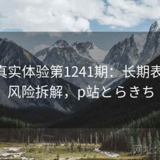 P站真实体验第1241期：长期表现与风险拆解，p站とらきち