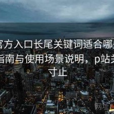 P站官方入口长尾关键词适合哪些人？避坑指南与使用场景说明，p站关键词寸止