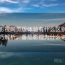番茄影视网页版体验有什么区别与使用技巧解析，番茄影视为什么进不去