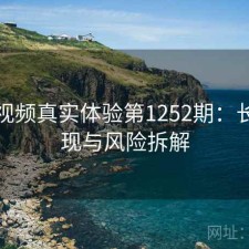 芭乐视频真实体验第1252期：长期表现与风险拆解