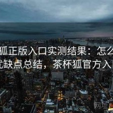 茶杯狐正版入口实测结果：怎么选与优缺点总结，茶杯狐官方入口