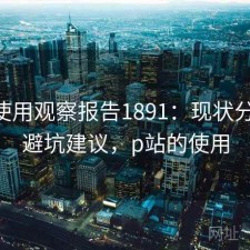P站使用观察报告1891：现状分析与避坑建议，p站的使用
