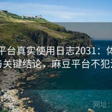 麻豆平台真实使用日志2031：体验变化与关键结论，麻豆平台不犯法吗