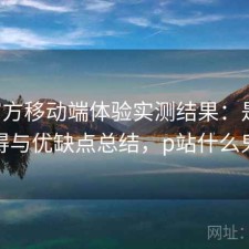 P站官方移动端体验实测结果：是否值得与优缺点总结，p站什么鬼