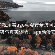 从用户视角看age动漫安全访问：有哪些优势与真实体验，age动漫安全么