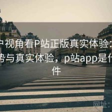 从用户视角看P站正版真实体验：有哪些优势与真实体验，p站app是什么软件