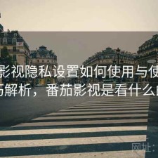 番茄影视隐私设置如何使用与使用技巧解析，番茄影视是看什么的