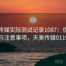 天美传媒实际测试记录1087：优缺点与注意事项，天美传媒0119