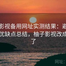 柚子影视备用网址实测结果：避坑指南与优缺点总结，柚子影视改成什么了