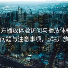 P站官方播放体验访问与播放体验：存在的问题与注意事项，p站开放访问