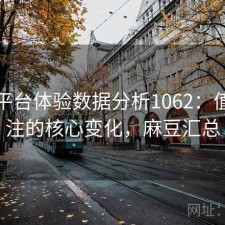 麻豆平台体验数据分析1062：值得关注的核心变化，麻豆汇总