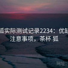 茶杯狐实际测试记录2234：优缺点与注意事项，茶杯 狐