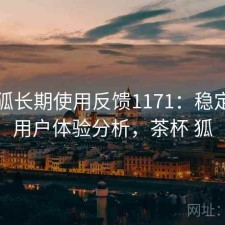 茶杯狐长期使用反馈1171：稳定性与用户体验分析，茶杯 狐