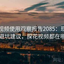 探花视频使用观察报告2085：现状分析与避坑建议，探花视频都在哪看的