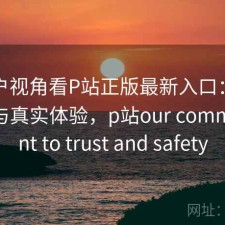从用户视角看P站正版最新入口：实测分析与真实体验，p站our commitment to trust and safety