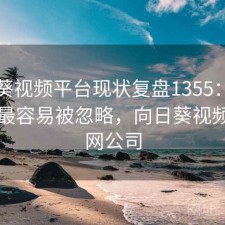 向日葵视频平台现状复盘1355：哪些问题最容易被忽略，向日葵视频官方网公司