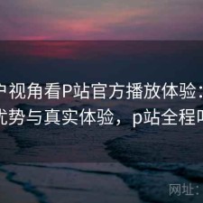 从用户视角看P站官方播放体验：有哪些优势与真实体验，p站全程叫啥