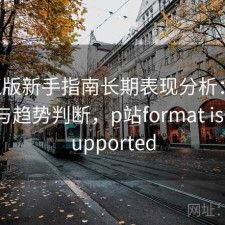 P站正版新手指南长期表现分析：是否值得与趋势判断，p站format is not supported