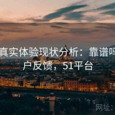 51网真实体验现状分析：靠谱吗与用户反馈，51平台