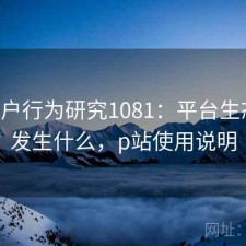 P站用户行为研究1081：平台生态正在发生什么，p站使用说明