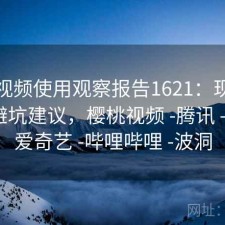 樱桃视频使用观察报告1621：现状分析与避坑建议，樱桃视频 -腾讯 -快看 -爱奇艺 -哔哩哔哩 -波洞