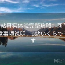 正规P站真实体验完整攻略：新手必看的注意事项说明，p站いくらでヤれます