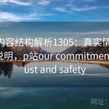 P站内容结构解析1305：真实情况与误区说明，p站our commitment to trust and safety