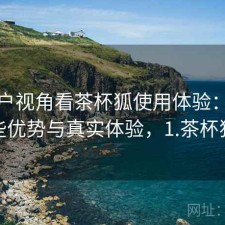 从用户视角看茶杯狐使用体验：有哪些优势与真实体验，1.茶杯狐