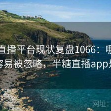 半糖直播平台现状复盘1066：哪些问题最容易被忽略，半糖直播app是什么