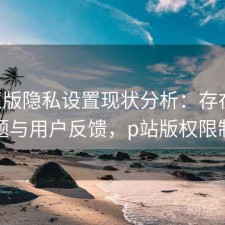 P站正版隐私设置现状分析：存在的问题与用户反馈，p站版权限制