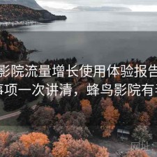 蜂鸟影院流量增长使用体验报告：注意事项一次讲清，蜂鸟影院有毒吗