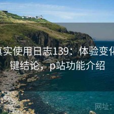 P站真实使用日志139：体验变化与关键结论，p站功能介绍