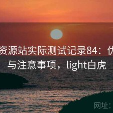 白虎资源站实际测试记录84：优缺点与注意事项，light白虎