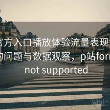 P站官方入口播放体验流量表现如何？存在的问题与数据观察，p站format is not supported