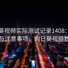 向日葵视频实际测试记录1408：优缺点与注意事项，向日葵视频数次