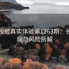 蘑菇视频真实体验第1263期：长期表现与风险拆解