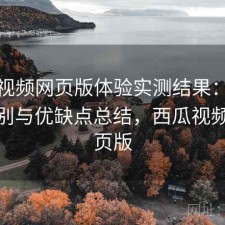 西瓜视频网页版体验实测结果：有什么区别与优缺点总结，西瓜视频pc网页版