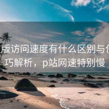 P站正版访问速度有什么区别与使用技巧解析，p站网速特别慢