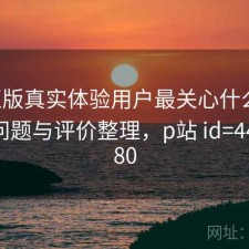 P站正版真实体验用户最关心什么？存在的问题与评价整理，p站 id=44332880