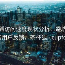 茶杯狐访问速度现状分析：避坑指南与用户反馈，茶杯狐 - cupfox