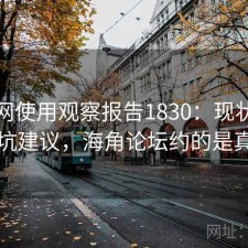 海角网使用观察报告1830：现状分析与避坑建议，海角论坛约的是真的吗