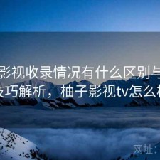 柚子影视收录情况有什么区别与使用技巧解析，柚子影视tv怎么样