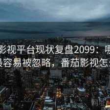番茄影视平台现状复盘2099：哪些问题最容易被忽略，番茄影视怎么了