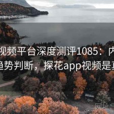 探花视频平台深度测评1085：内容变化与趋势判断，探花app视频是真的吗