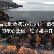 柚子猫体验数据分析1332：值得关注的核心变化，柚子猫事件