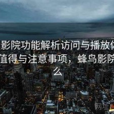 蜂鸟影院功能解析访问与播放体验：是否值得与注意事项，蜂鸟影院是什么
