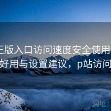 P站正版入口访问速度安全使用指南：好不好用与设置建议，p站访问权限