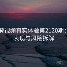 向日葵视频真实体验第2120期：长期表现与风险拆解