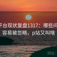 P站平台现状复盘1317：哪些问题最容易被忽略，p站又叫啥